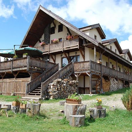 Cabana Motilor มาริเชล ภายนอก รูปภาพ