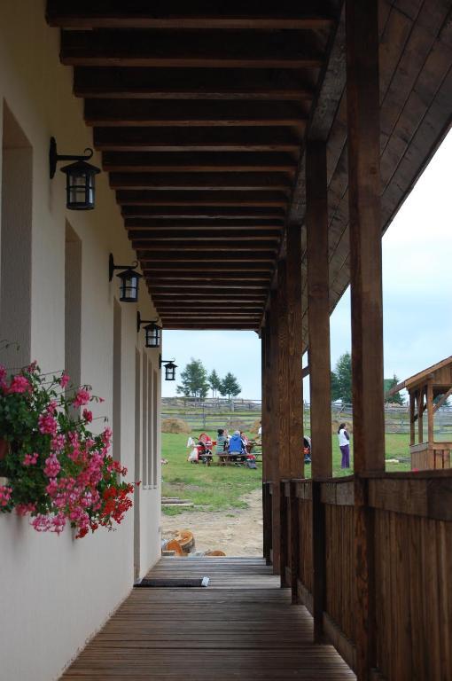 Cabana Motilor มาริเชล ภายนอก รูปภาพ